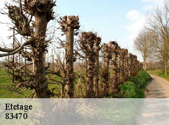 Etetage 83470