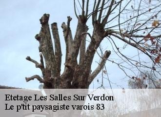 Etetage  les-salles-sur-verdon-83630 Le p'tit paysagiste varois 83