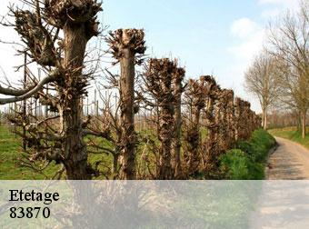 Etetage  83870
