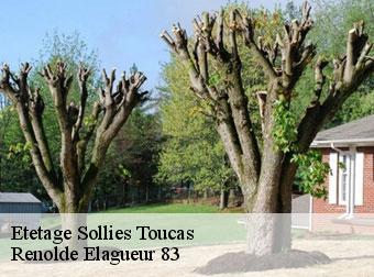 Etetage  83210