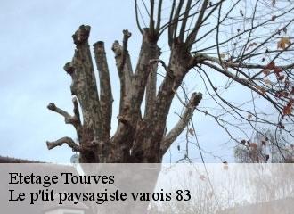 Etetage tourves-83170 Le p'tit paysagiste varois 83