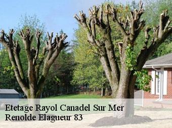 Etetage 83820