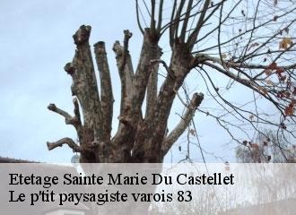 Etetage  sainte-marie-du-castellet-83330 Le p'tit paysagiste varois 83
