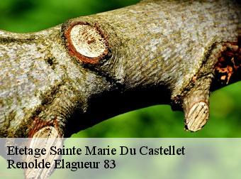 Etetage sainte-marie-du-castellet-83330 Renolde Elagueur 83