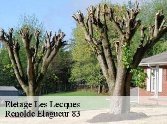 Etetage  83270