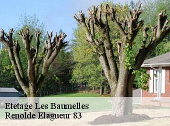 Etetage 83270