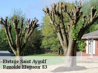 Etetage  83370