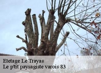 Etetage le-trayas-83700 Le p'tit paysagiste varois 83