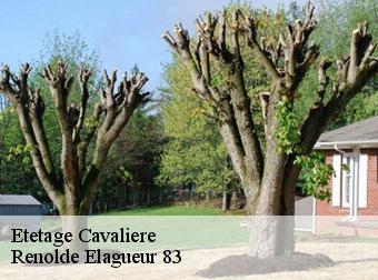 Etetage 83980