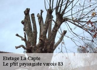 Etetage  la-capte-83400 Le p'tit paysagiste varois 83