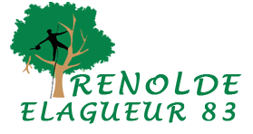 elagage-renolde-elagueur-83